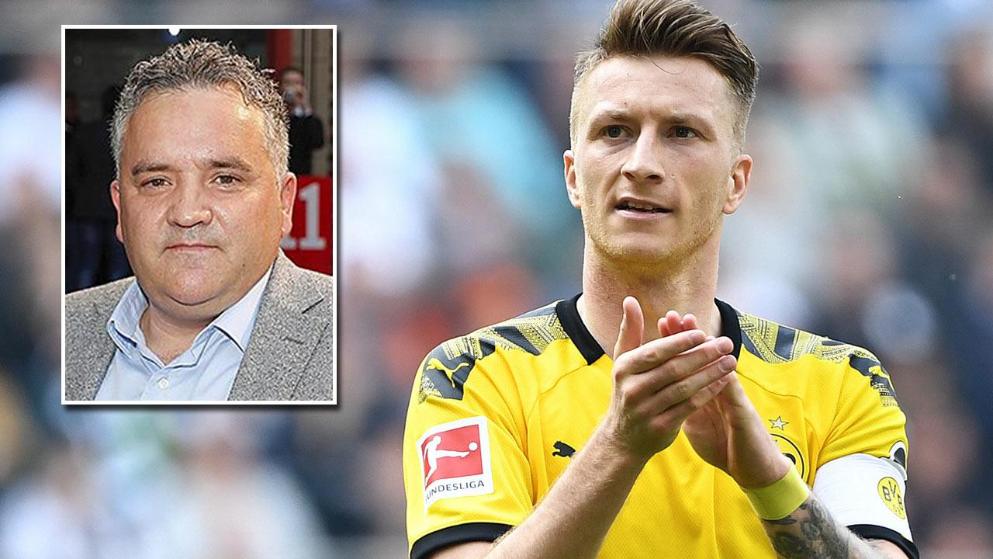 了球迷的阵 了球迷的阵