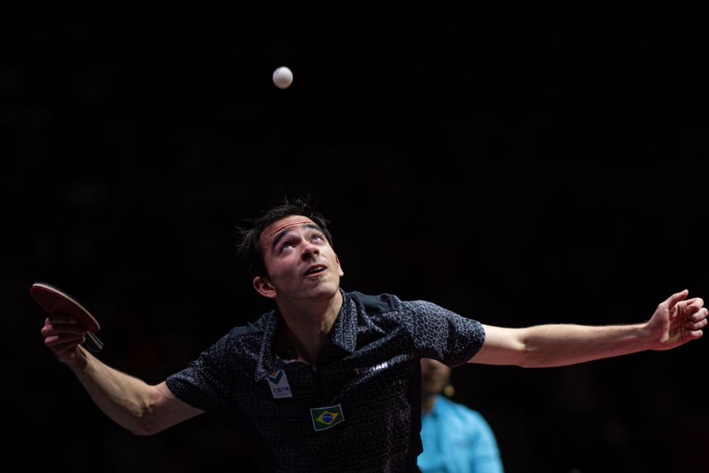 的世界里 的世界里