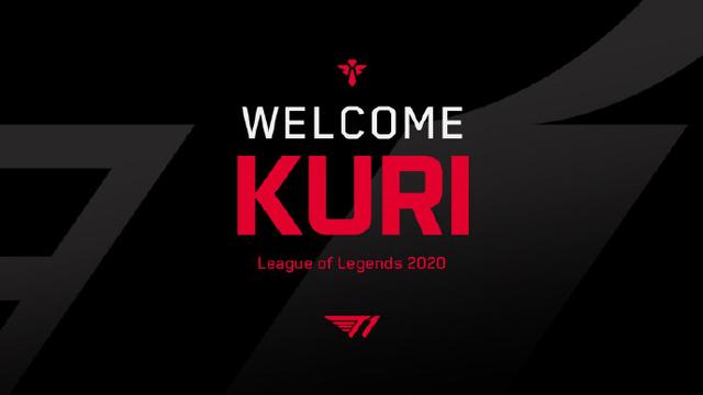 港口城市的 港口城市的